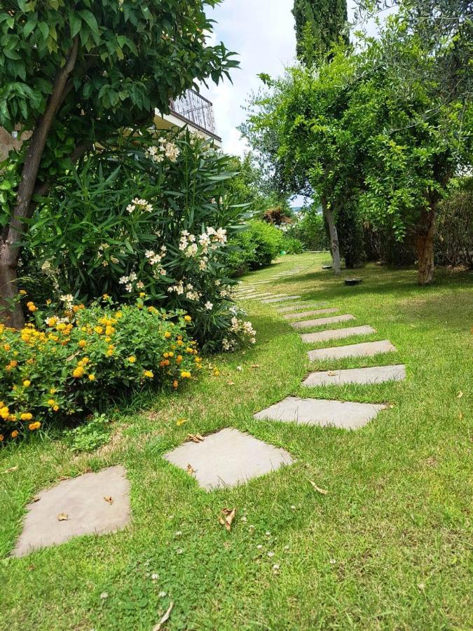 Villa Pineland Borghetto Santo Spirito Εξωτερικό φωτογραφία
